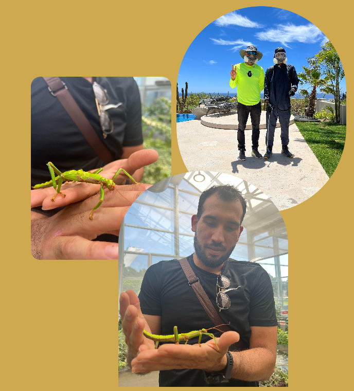 Scientists handling a large insect and greeting the camera.